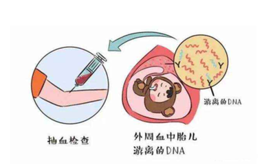香港-香港输血的YDNA